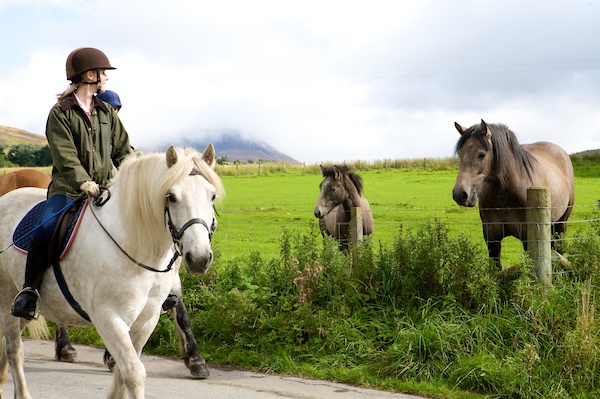 Darley on a Highland Pony in Scotland